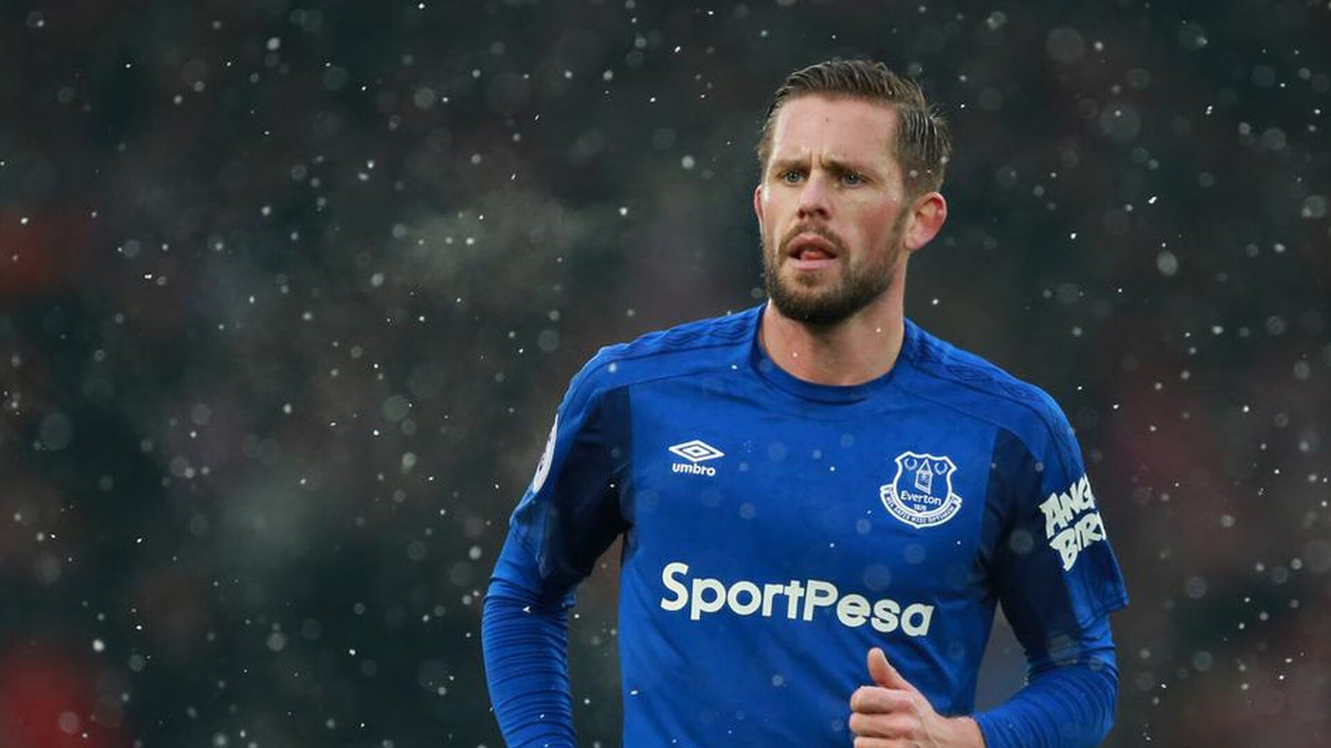 蛙泳项目波兰持续发力，波式蛙泳视频教程