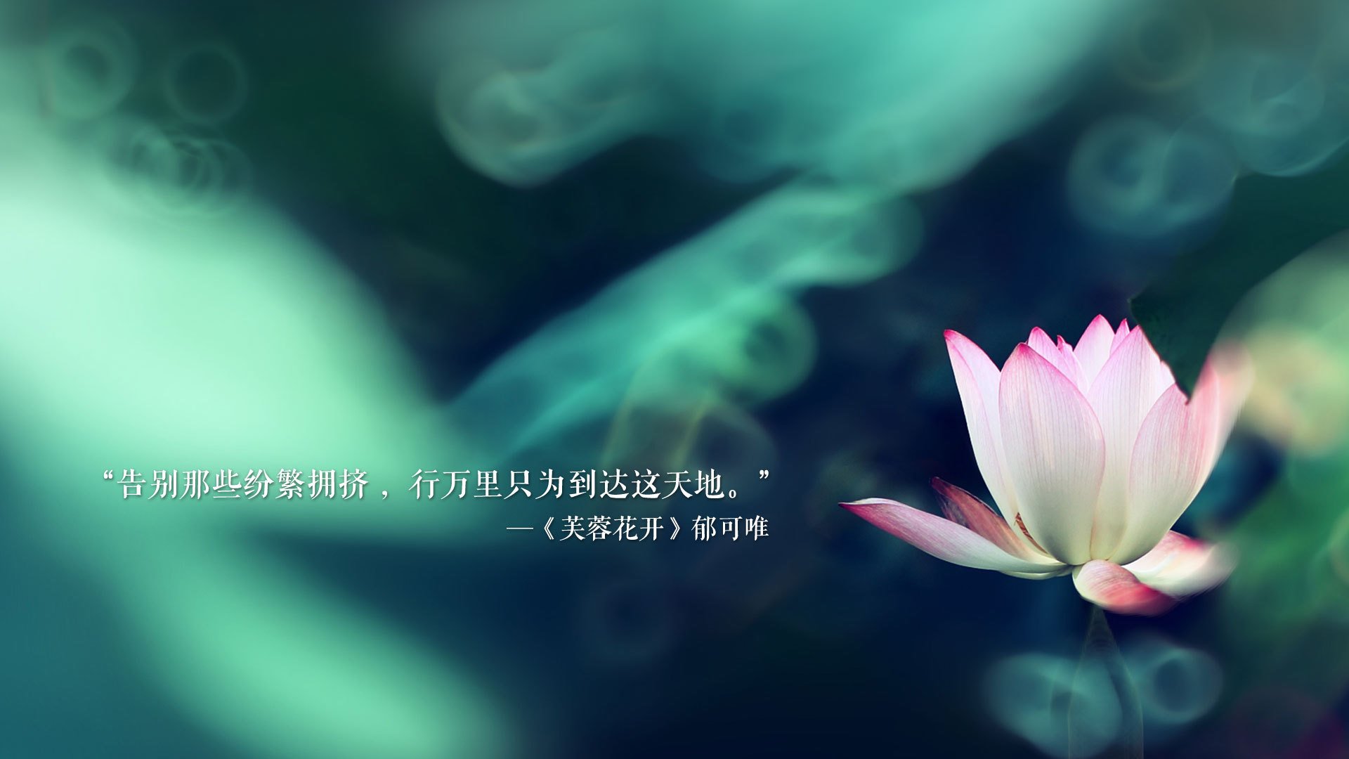 _社交媒体助力运动员塑造公众形象_,社交媒体 社会运动