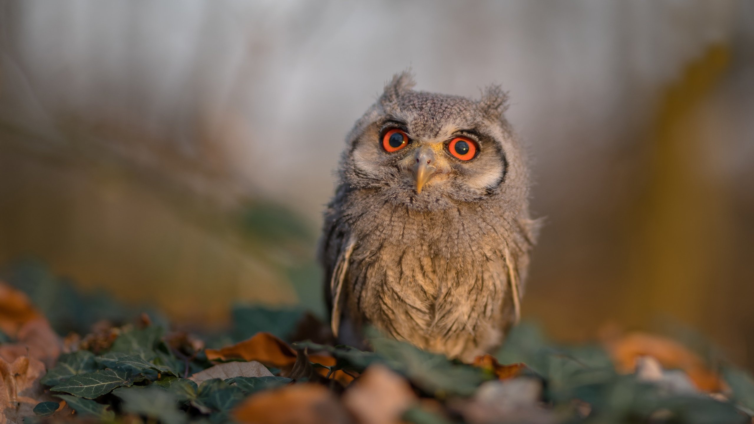 台球比赛中的“心理战”现场实录，台球实战心理策略