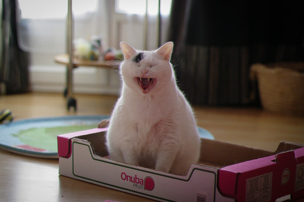 台球比赛中的“心理战”现场实录，台球实战心理策略