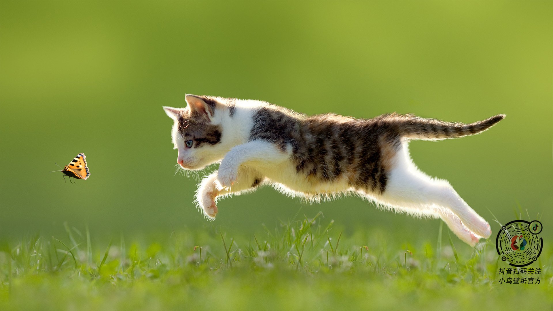 墨西哥教练：我们不是来滑雪的，是来踢球的，墨西哥队教练